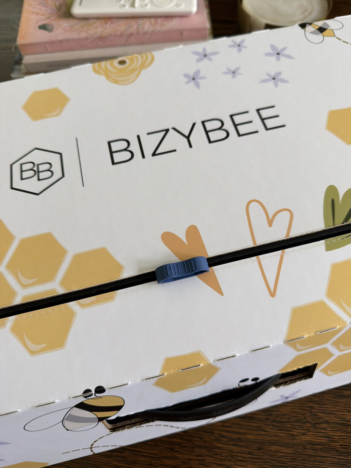 Close-up of the BizyBee logo, elastic cord closure and carry handle